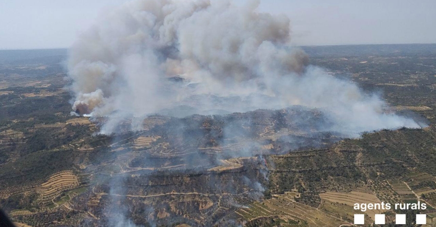 Lincendi forestal a la Torre de lEspanyol ja afecta ms de 2.500 hectrees