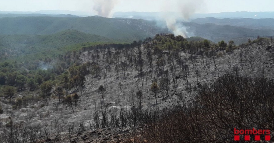 90 dotacions terrestres i 11 mitjans aeris traballen en lincendi forestal de la Ribera dEbre
