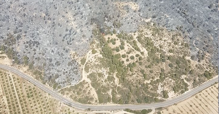 Estabilitzat lincendi de la Ribera dEbre i sespera controlar-lo aquest vespre