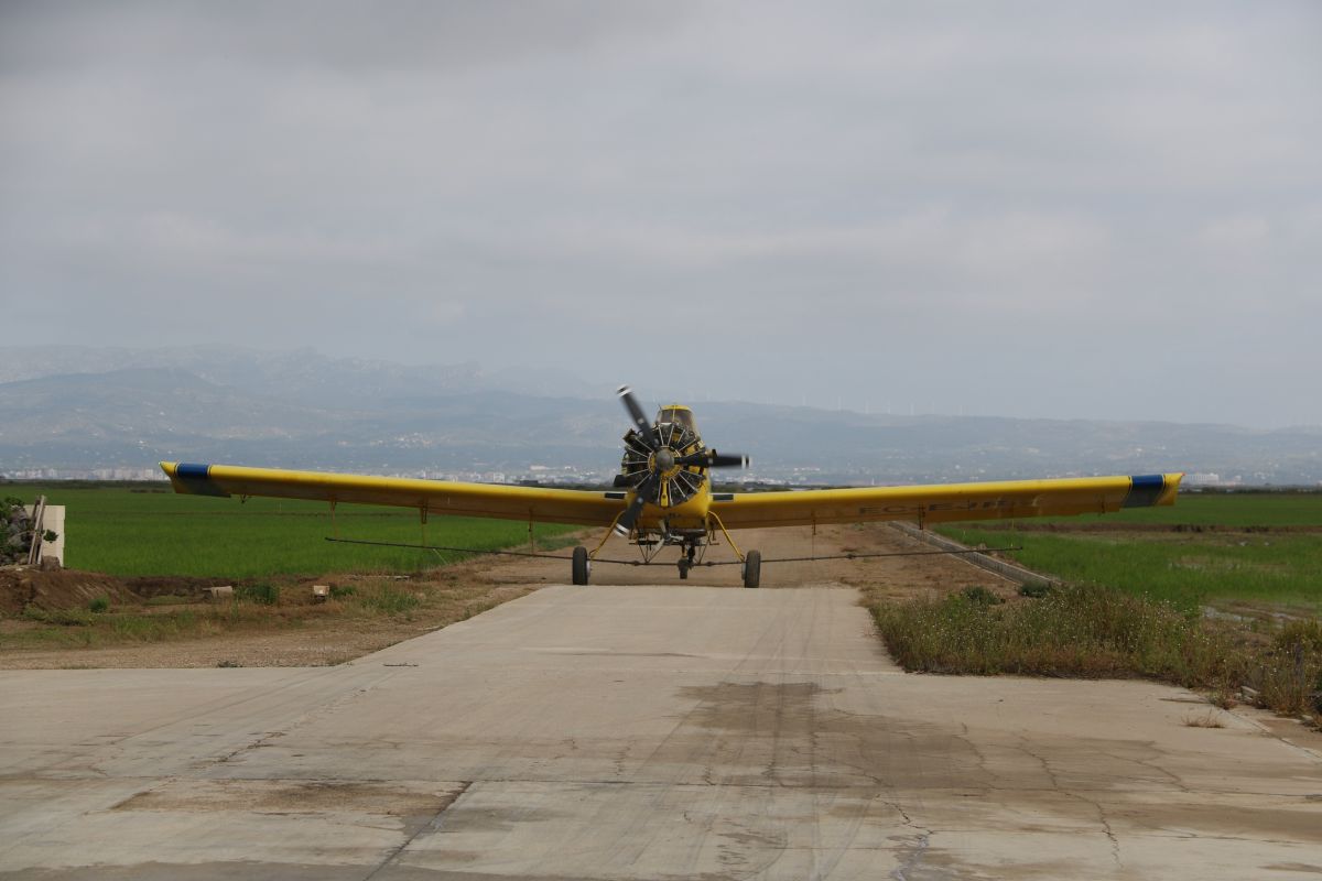 COPATE enceta la campanya contra el mosquit als arrossars del Delta amb un pressupost d1,04 MEUR