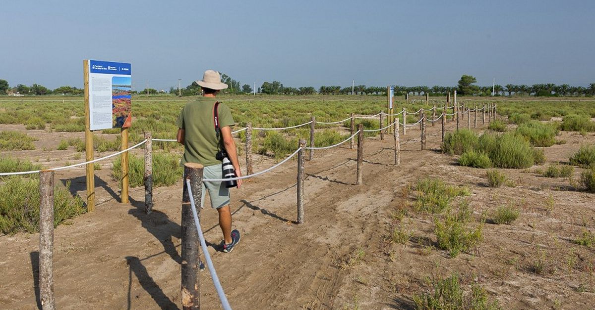 El Parc Natural del Delta de lEbre posa en marxa un nou itinerari interpretatiu sobre els valors del sosar