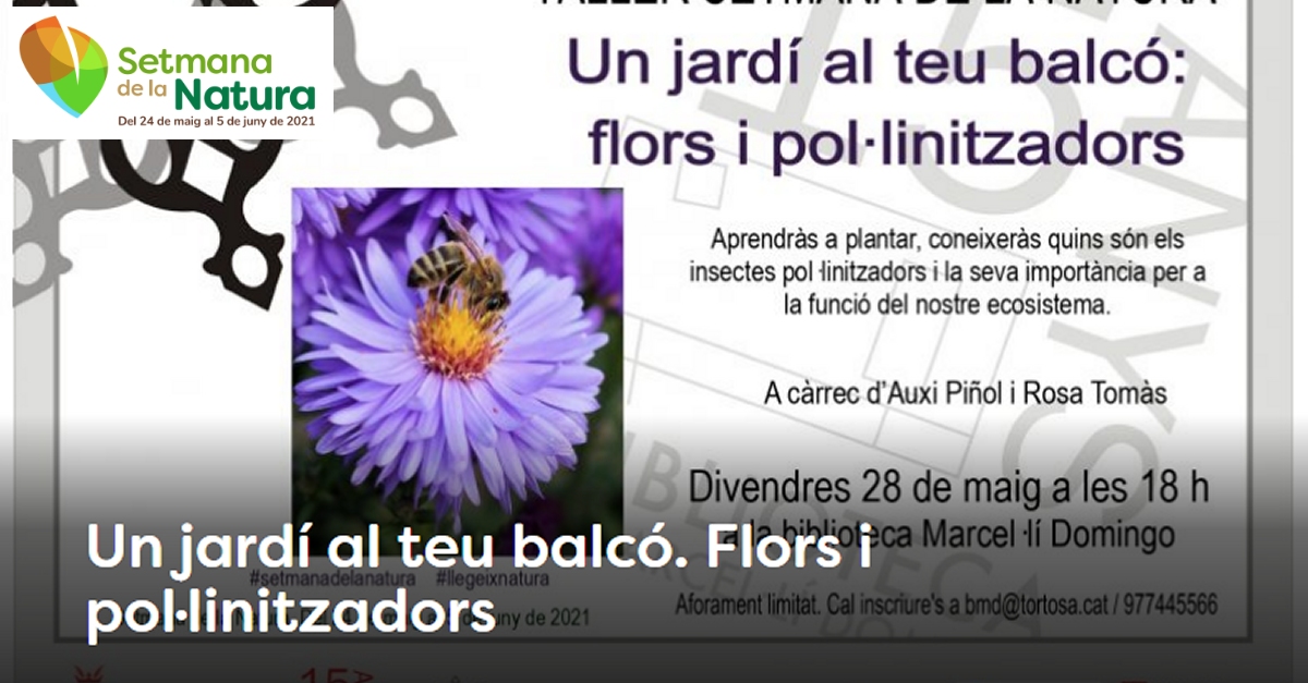 Setmana de la Natura: Un jard�n en tu balc�n. Flores y polinizadores
