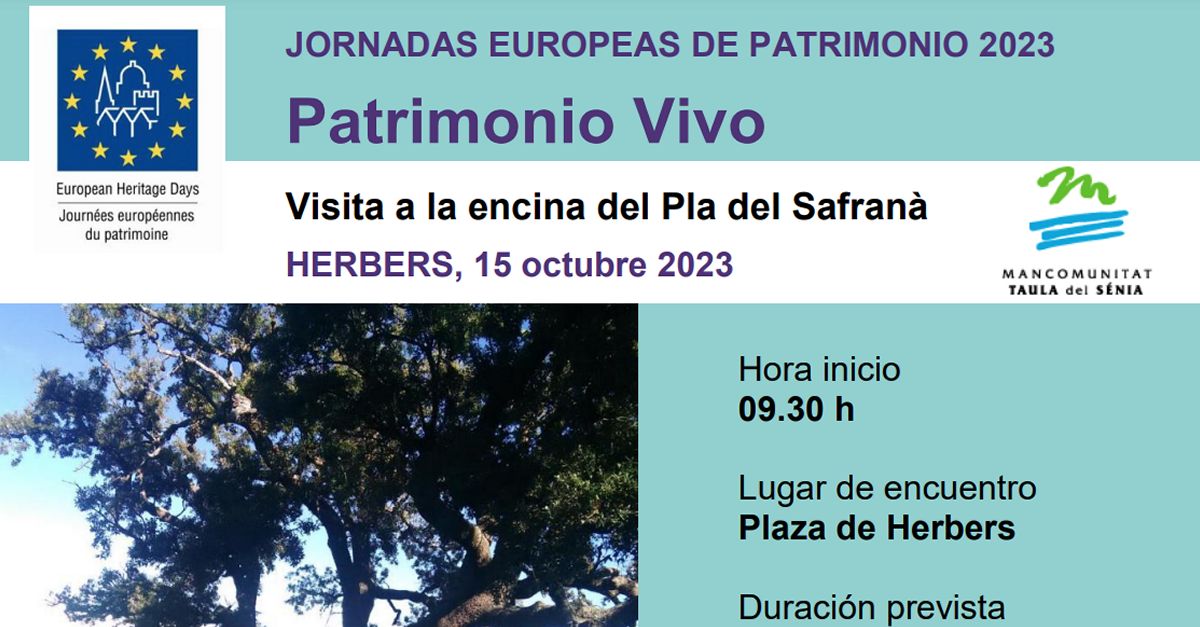 JEP23 Visita a la carrasca del Pla del Safran�