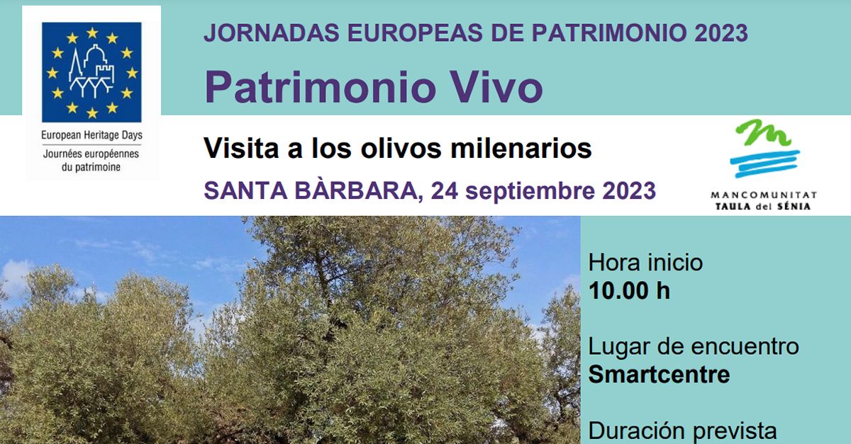 JEP23 Visita a les oliveres mil�len�ries