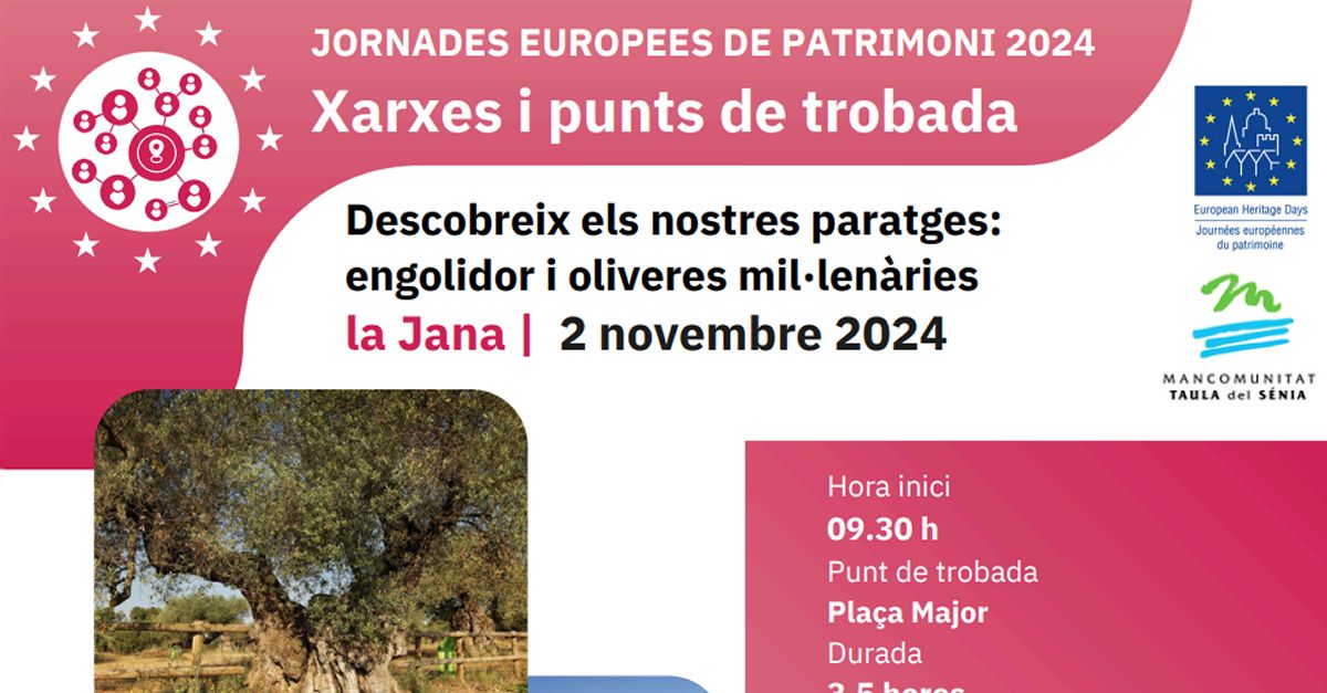 JEP24: Descobreix els nostres paratges: engolidor i oliveres mil�len�ries