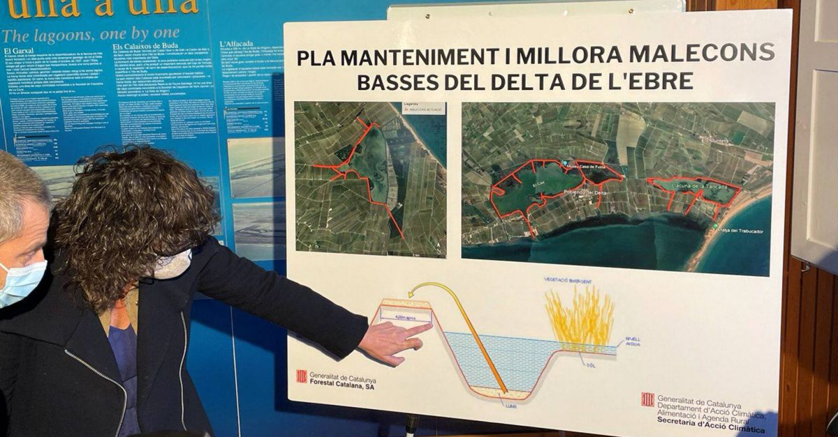 La consellera Jord anuncia un pla de refor de la protecci de les basses del Delta de l’Ebre