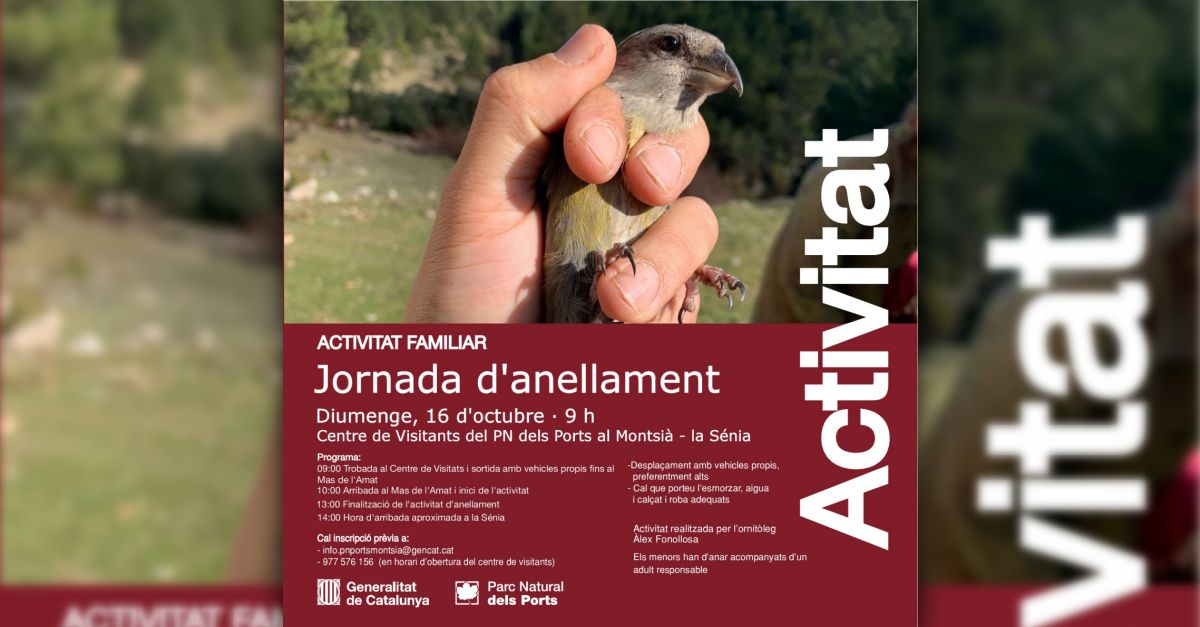 Jornada d�anellament 