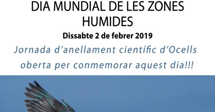 Jornada de anillamiento cient�fico de p�jaros a la Reserva Natural de Sebes