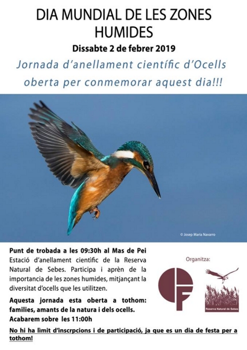Jornada d�anellament cient�fic d�ocells a la Reserva Natural de Sebes