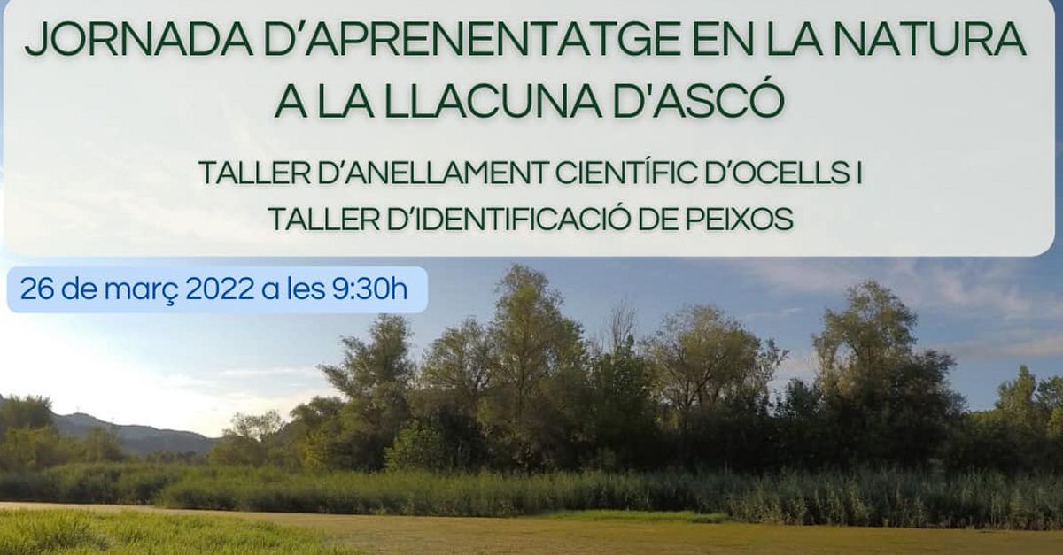 Jornada de aprendizaje en la naturaleza en la laguna de Asc�