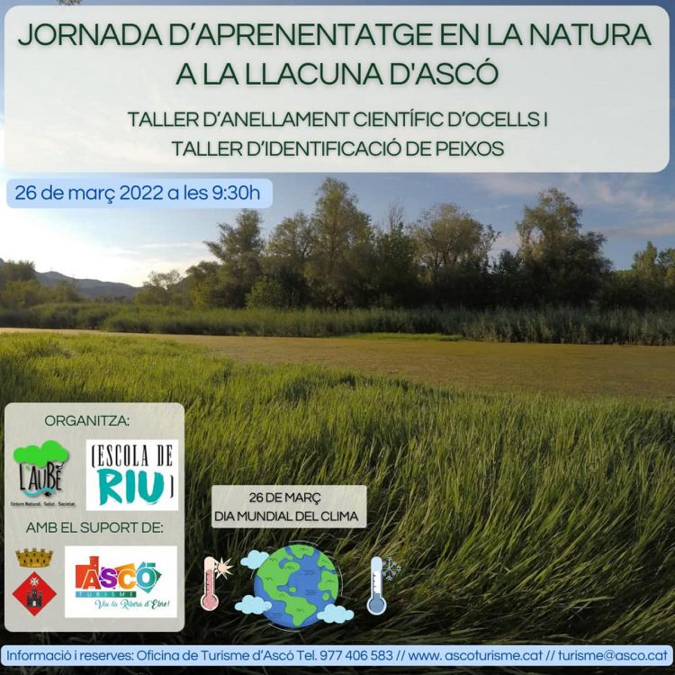 Jornada d’aprenentatge en la natura a la llacuna d’Ascó Jornada d’aprenentatge en la natura a la llacuna d’Ascó