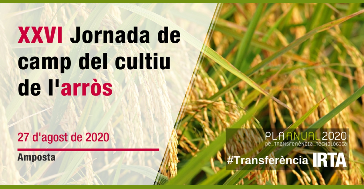 XXVI Jornada de camp del cultiu de l�arr�s