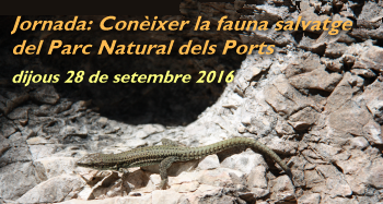 Jornada: Conocer la fauna salvaje del Parc Natural dels Ports