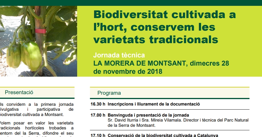Biodiversitat cultivada a l�hort, conservem les varietats tradicionals
