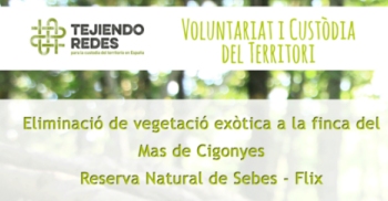 Jornada de voluntariat a la zona d�aiguamoll de la finca del Mas de Cigonyes