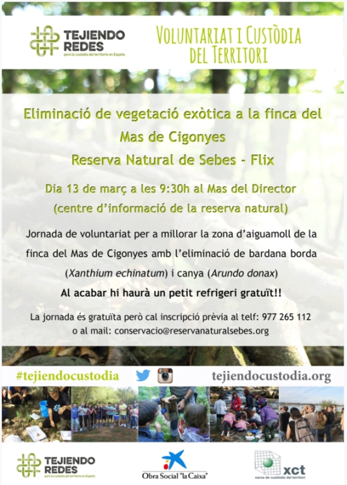 Jornada de voluntariat a la zona d�aiguamoll de la finca del Mas de Cigonyes