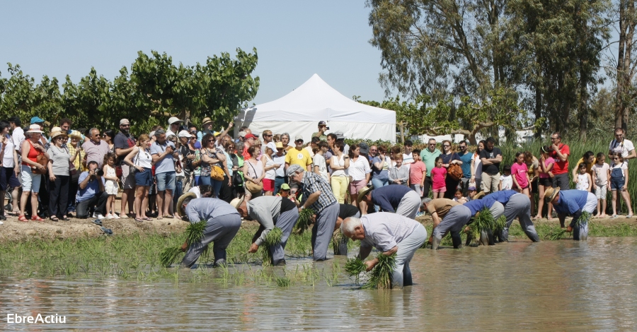 Treballa al Turisme 2020 | EbreActiu.cat, revista digital d’oci actiu | Terres de l’Ebre ... Treballa al Turisme 2020 | EbreActiu.cat, revista digital d’oci actiu | Terres de l’Ebre ...