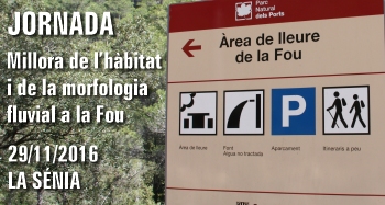 Millora de l�h�bitat i de la morfologia fluvial a la Fou