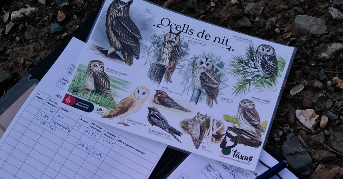 Jornada de identificaci�n y censo de aves nocturnas