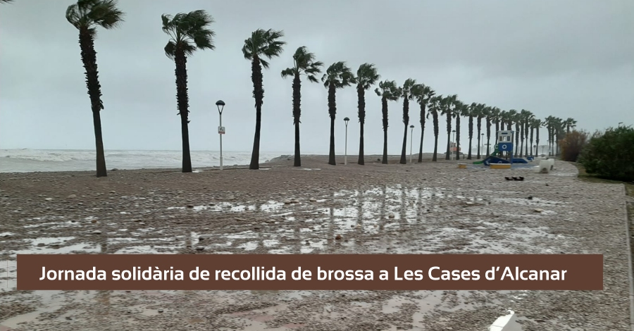 Jornada solidària de recollida de brossa a Les Cases d’Alcanar Jornada solidària de recollida de brossa a Les Cases d’Alcanar