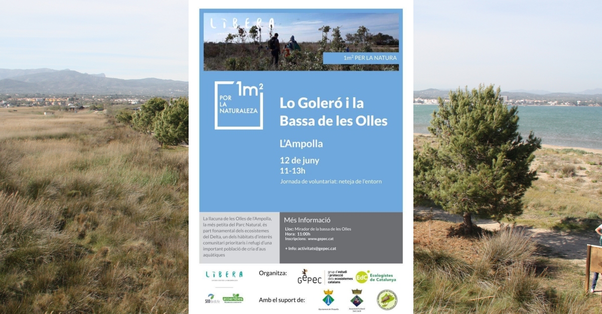 Jornada de voluntariado: Limpieza del entorno del Goler� y la Bassa de les Olles