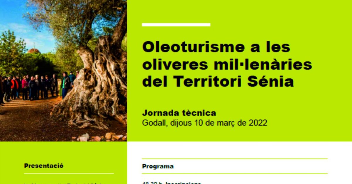Jornada Oleoturisme a les oliveres mil�len�ries del Territori S�nia