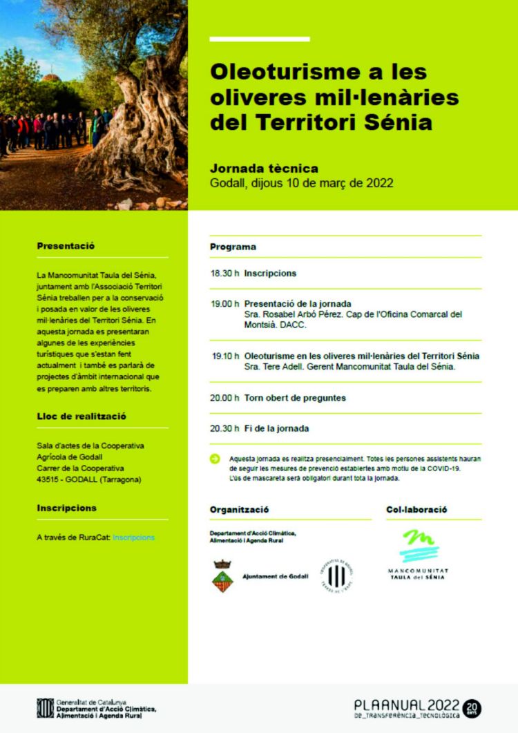 Jornada Oleoturisme a les oliveres mil·lenàries del Territori Sénia Jornada Oleoturisme a les oliveres mil·lenàries del Territori Sénia