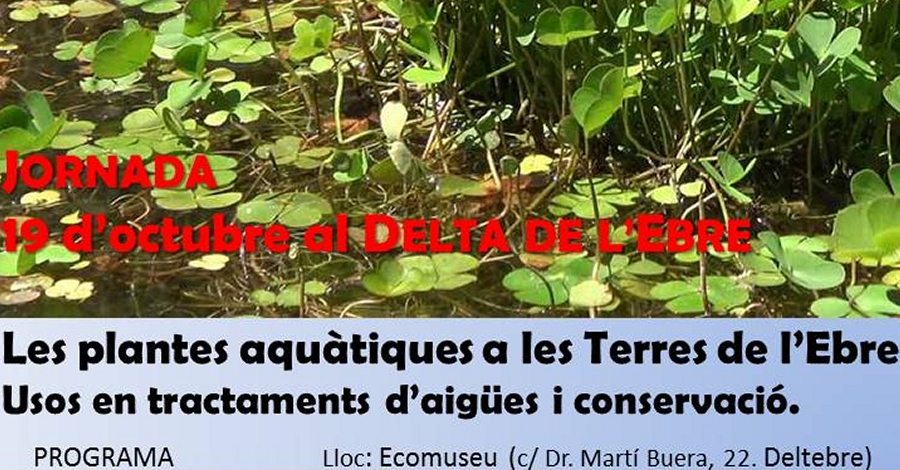 Jornada: Las plantas acu�ticas a las Terres de l�Ebre