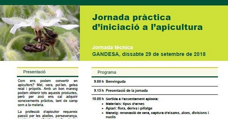 Jornada pr�ctica d�iniciaci� a l�apicultura