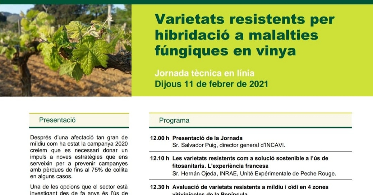 Jornada t�cnica en l�nia: Varietats resistents per hibridaci� a malalties f�ngiques en vinya