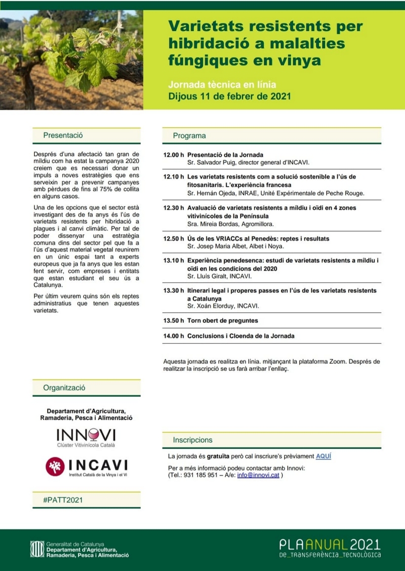 Jornada tècnica en línia: Varietats resistents per hibridació a malalties fúngiques en vinya Jornada tècnica en línia: Varietats resistents per hibridació a malalties fúngiques en vinya