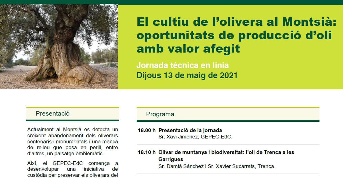 Jornada t�cnica: El cultivo del olivo en el Montsi�: oportunidades de producci�n de aceite con valor a�adido