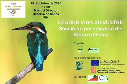 Jornada de participació sobre turisme ornitològic i de fauna Jornada de participació sobre turisme ornitològic i de fauna
