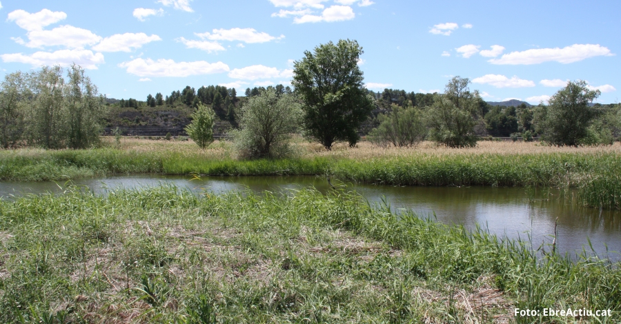 Jornada de voluntariat. Eliminaci� d�esp�cies ex�tiques invasores dels tancats de pastura