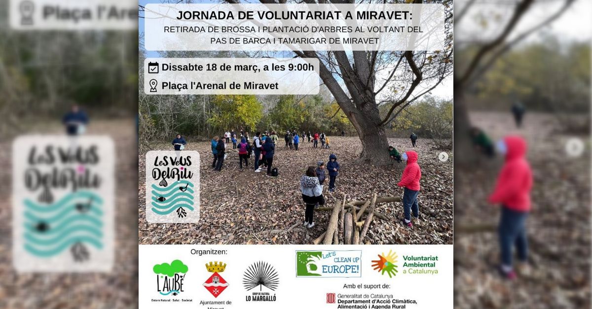 Jornada de voluntariado en Miravet: retirada de basura y plantaci�n de �rboles