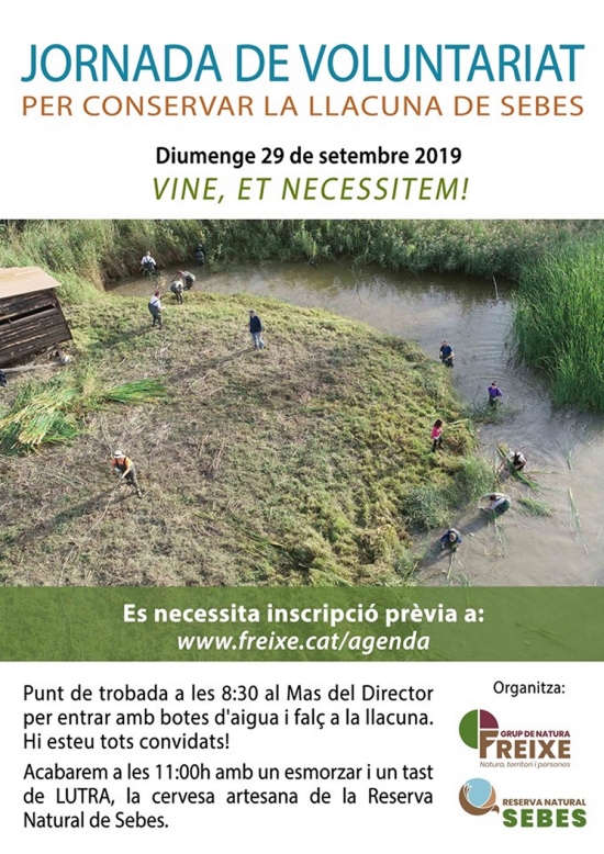 Jornada de voluntariat per conservar la llacuna de Sebes Jornada de voluntariat per conservar la llacuna de Sebes