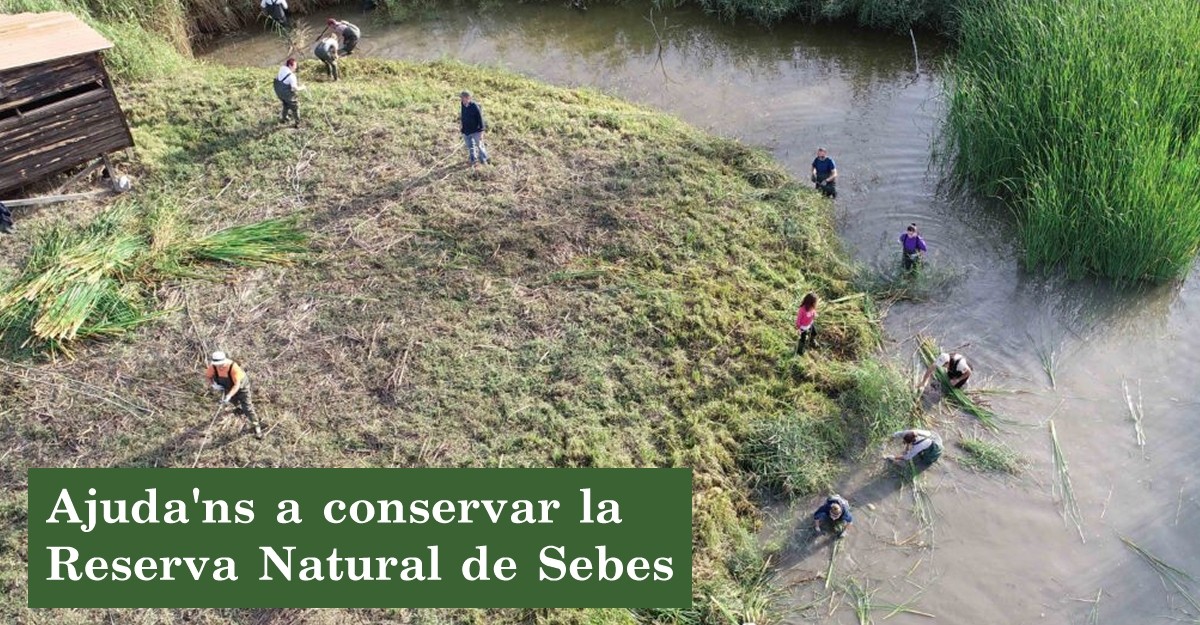 Ajuda�ns a conservar la Reserva Natural de Sebes [AJORNAT]