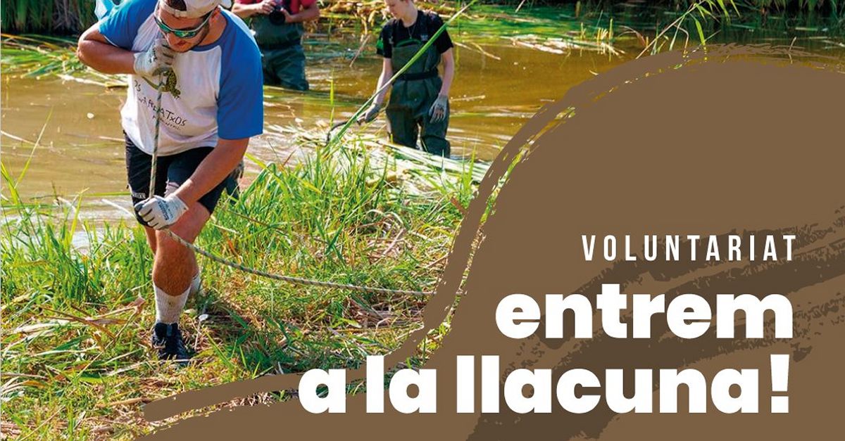 Jornada de voluntariat a la llacuna de la Reserva Natural de Sebes Jornada de voluntariat a la llacuna de la Reserva Natural de Sebes
