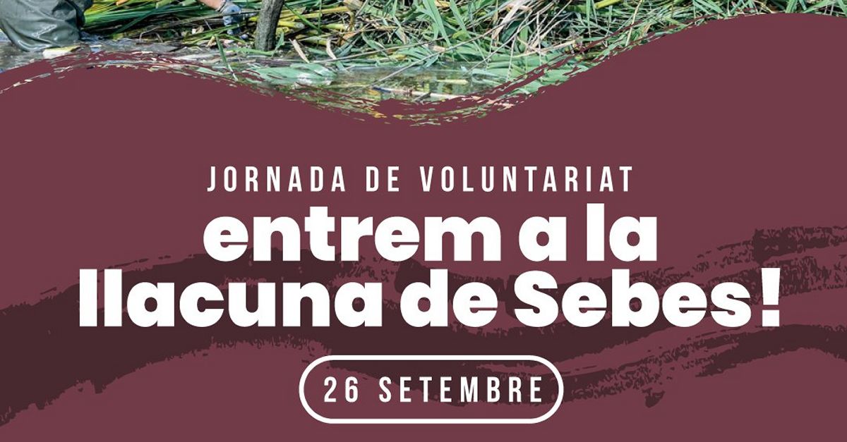 Entrem a la llacuna de Sebes. Jornada de voluntariat Entrem a la llacuna de Sebes. Jornada de voluntariat