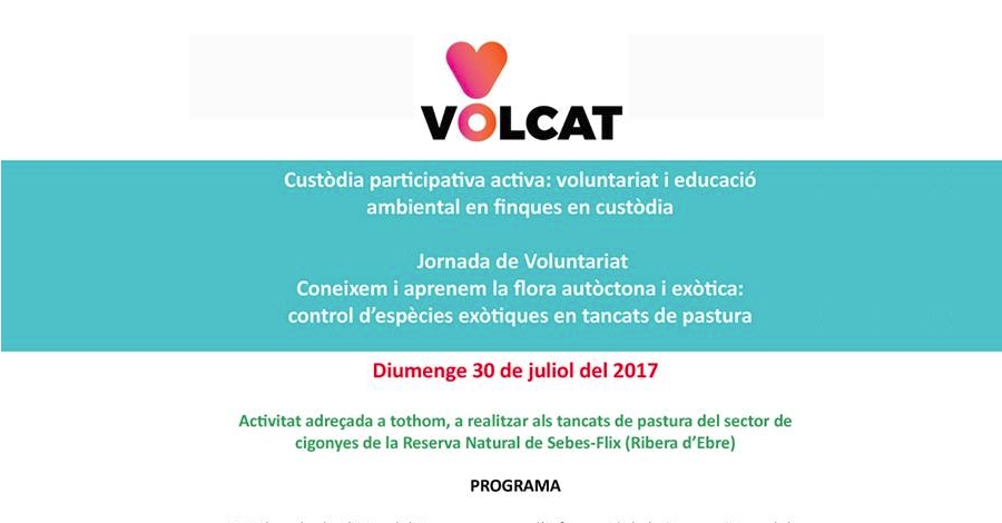 Jornada de voluntariado a la Reserva de Sebes. Proyecto Volcat