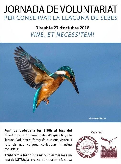 Jornada de Voluntariat Llacuna de Sebes Jornada de Voluntariat Llacuna de Sebes