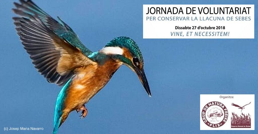 Jornada de Voluntariado Llacuna de Sebes Jornada de Voluntariado Llacuna de Sebes
