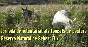 Jornada de voluntariado a los cercados de pasto