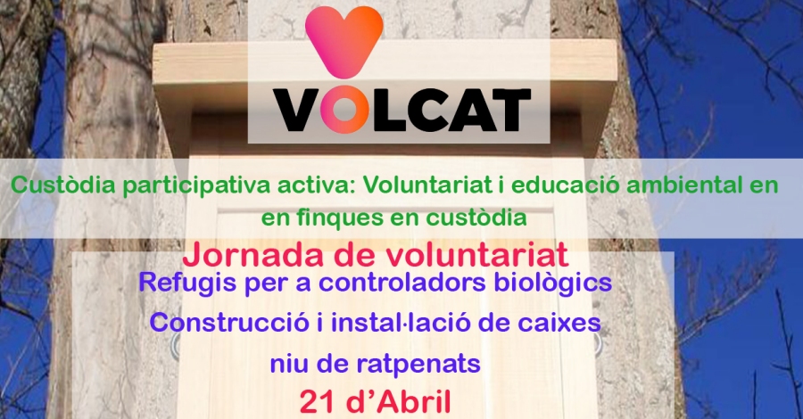Jornada de voluntariat ambiental : Construcci� i instal�laci� de caixes niu de ratpenats