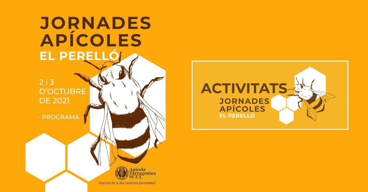 Actividades de las Jornadas Ap�colas del Perell�