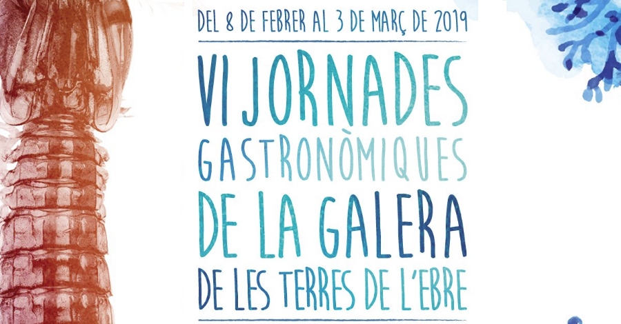 VI Jornades de la galera de les Terres de l’Ebre VI Jornades de la galera de les Terres de l’Ebre