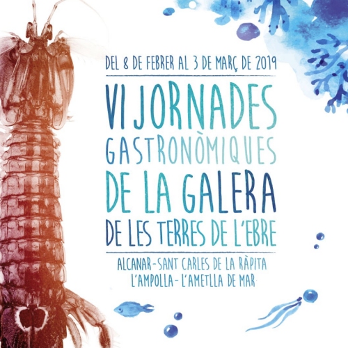 VI Jornades de la galera de les Terres de l�Ebre