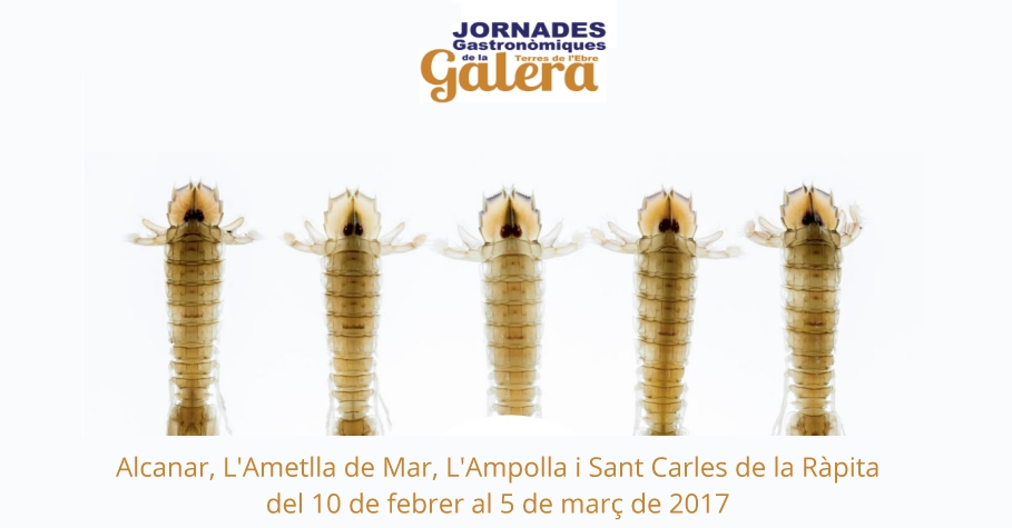 Jornades Gastron�miques de la Galera de les Terres de l�Ebre - Alcanar, L�Ametlla de Mar, L�Ampolla, Sant Carles de la R�pita