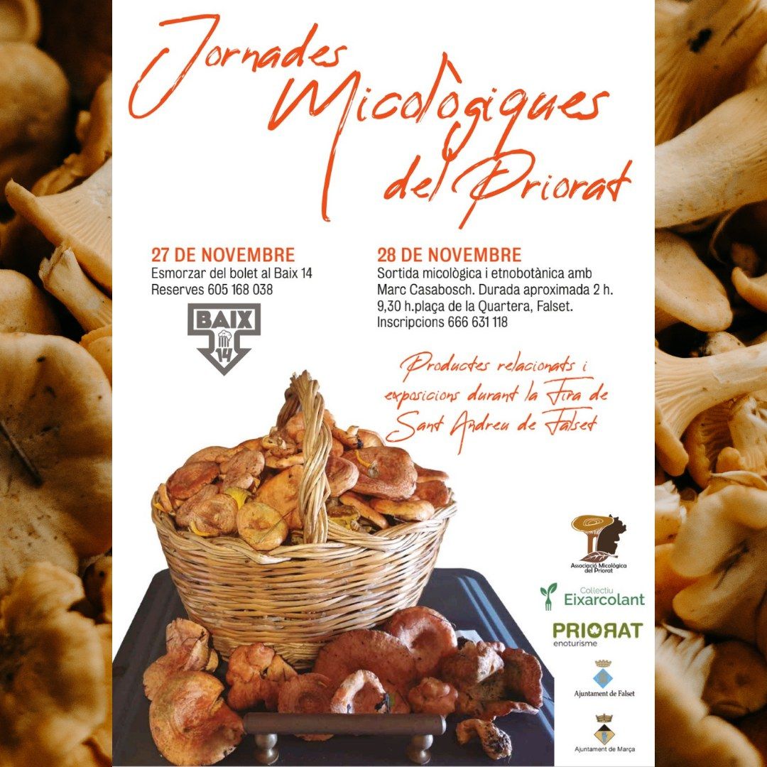 Jornades Micol�giques del Priorat