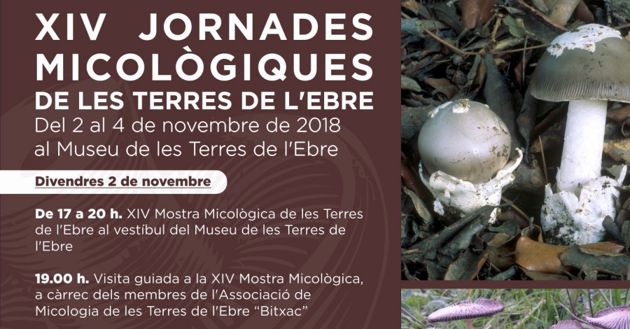 XIV Jornades Micol�giques de les Terres de l�Ebre